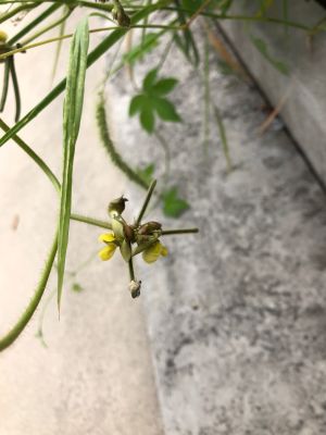 装修