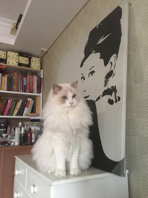 金融