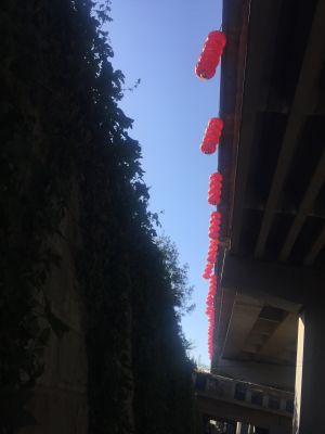 自由