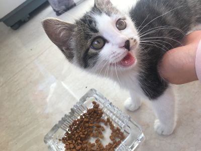 水电工装窗帘