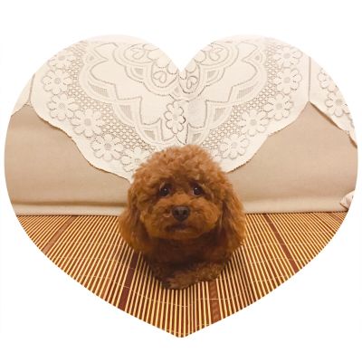 安装维修