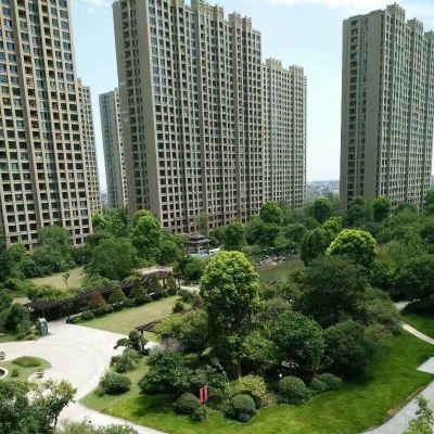 安装木工吊顶