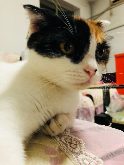 水管