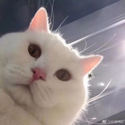 自由