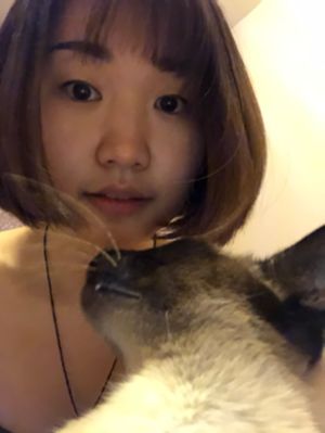 猫寄养