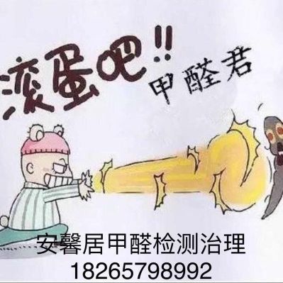 环保家政室内环境家政服务家政室内环境