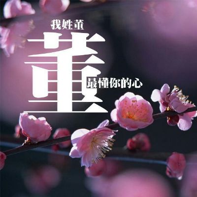 家具橱柜卫浴