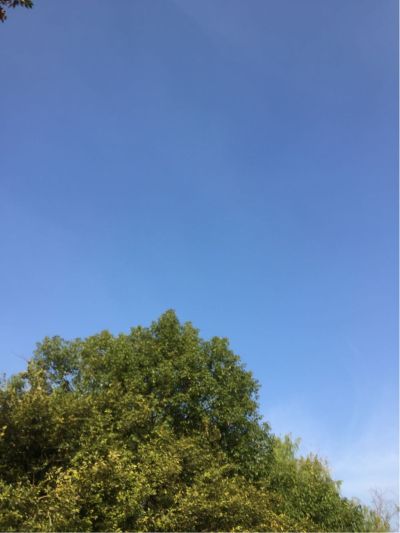 家居