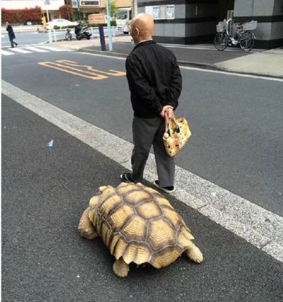 家具安装维修