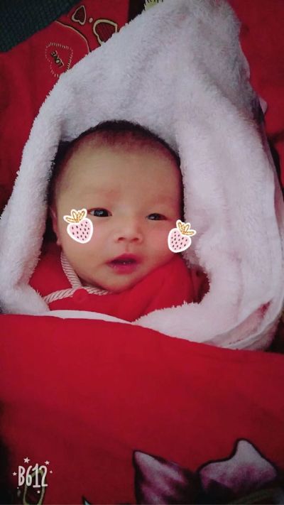 安装墙纸