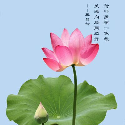 专业家具安装