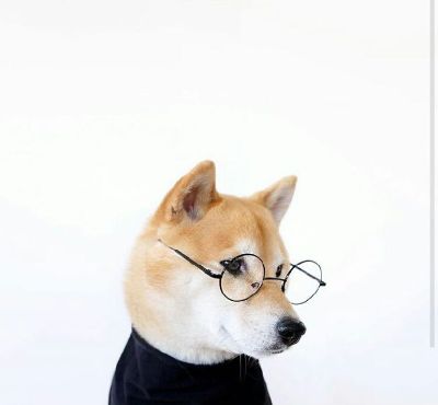 装修方案设计装修方案设计