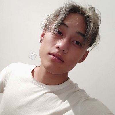 监控网络装修