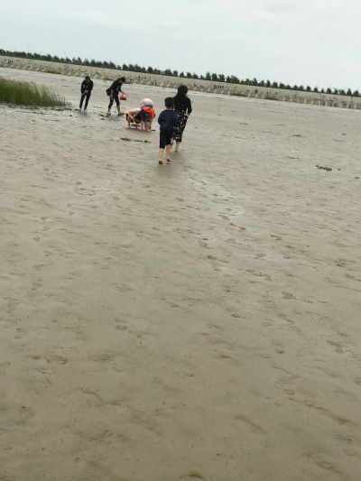 电脑