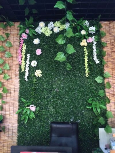 需要软装绿植设计的朋友可以联系！我们是江西南昌专业绿植软装施工团队！包工包材料均可！