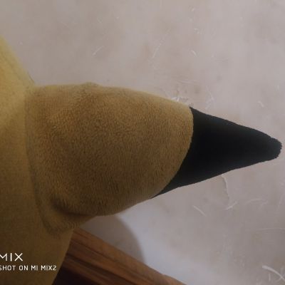 什么都可以