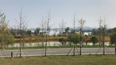 灯具安装