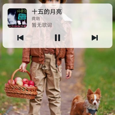 家庭装修