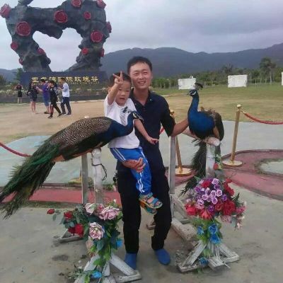 室内装修
