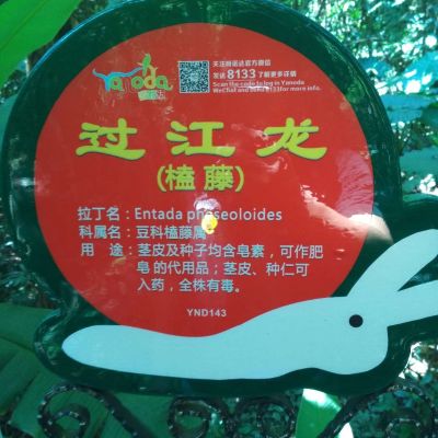 电工