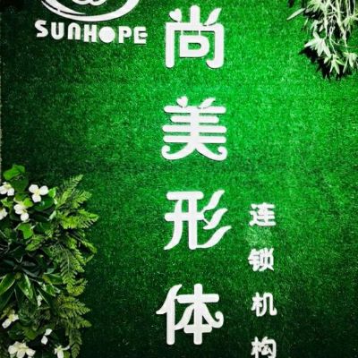 尚赫美容理疗专业开穴减肥四万人会场