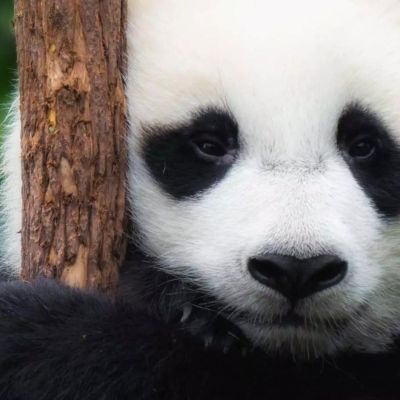 说话