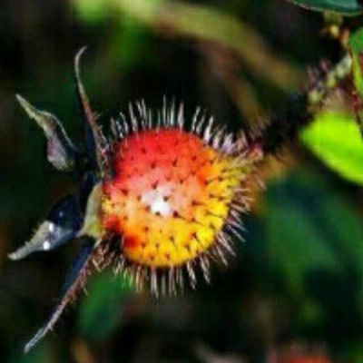 上门维修专业对讲机