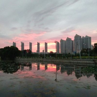 没想法，干就完了