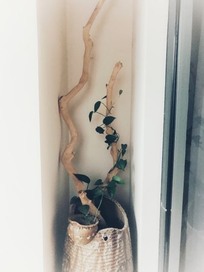 建材