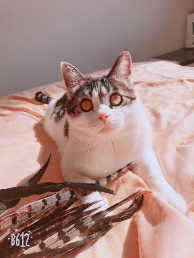 理石安装