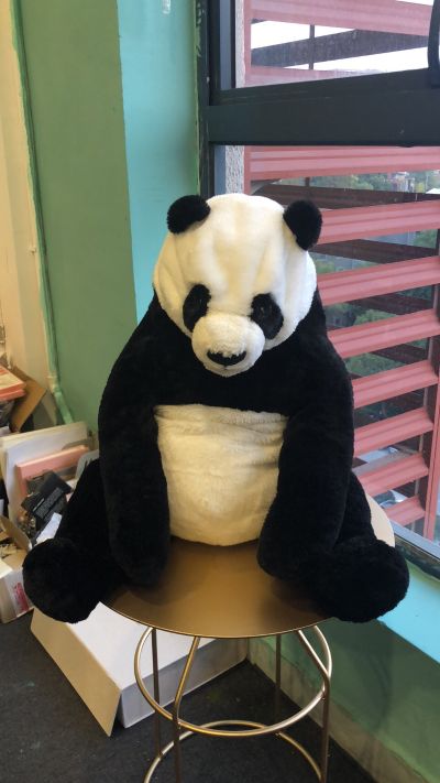 项目经理