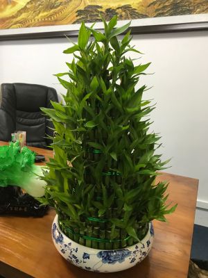 互联网