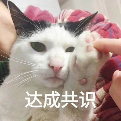 门窗柜安装专业安装