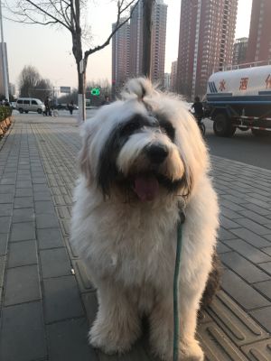 安装