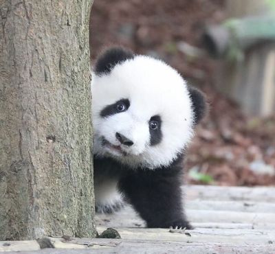 水电安装维修水电安装维修