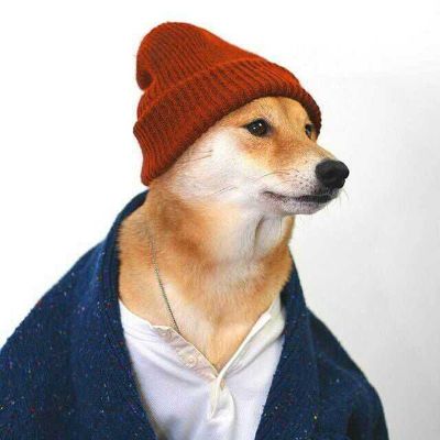 厨卫家具水电