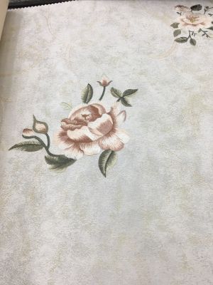 无专业