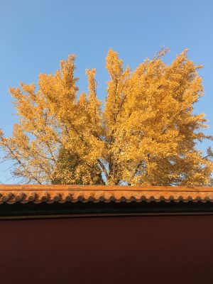 油工
