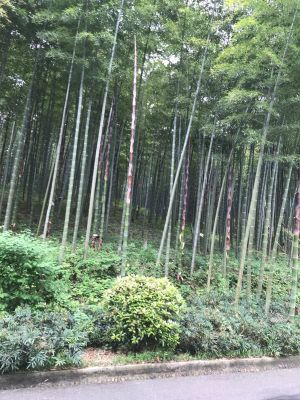 灯具水电地板