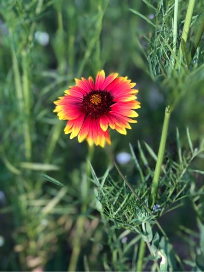 壁纸施工灯具安装橱门安装都可以联系我