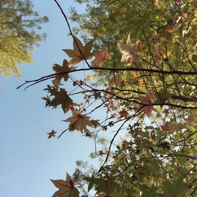 移门