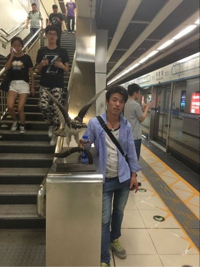 各种家庭维修