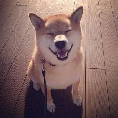 金融