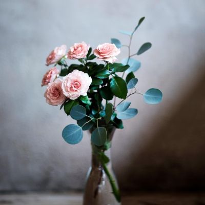 打墙铲墙搬运建渣清运打扫卫生乳胶漆翻新