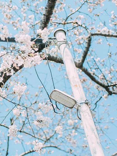 教育