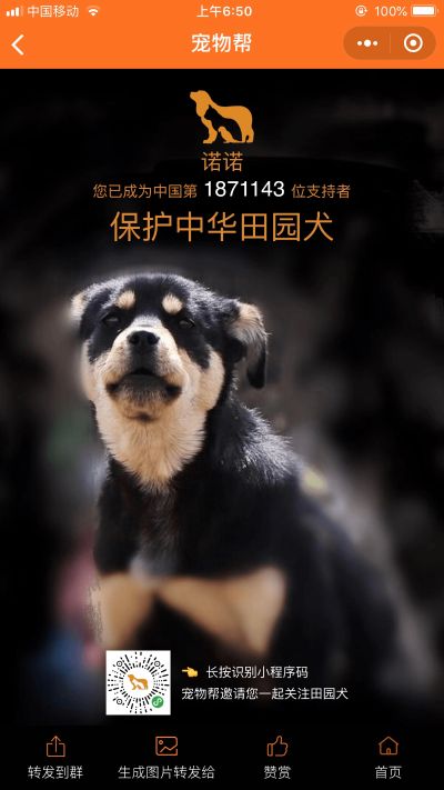 装饰公司