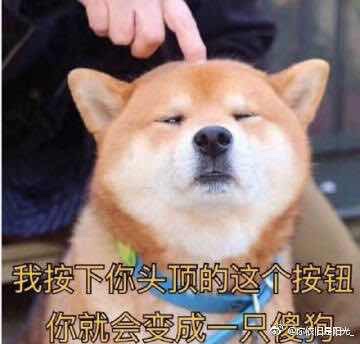 维修安装
