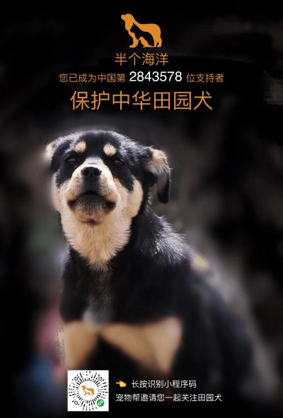 家具维修