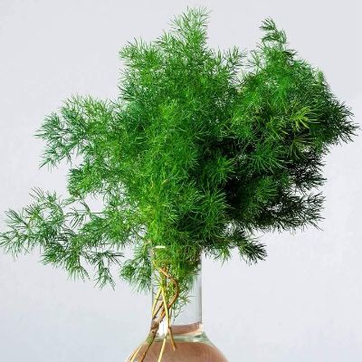 止注塑机加工