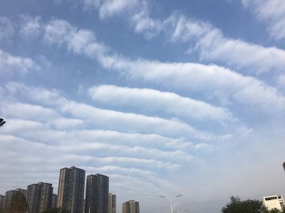 艺术涂料